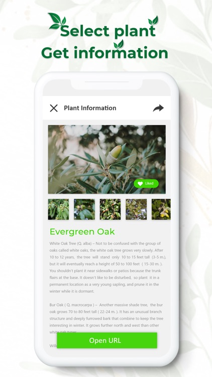 Plant identifier and Search screenshot-3