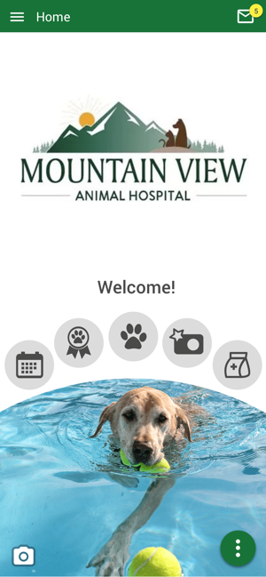 Mountain View Animal Hospital(圖1)-速報App