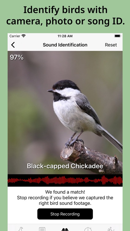 Smart Bird ID screenshot-0