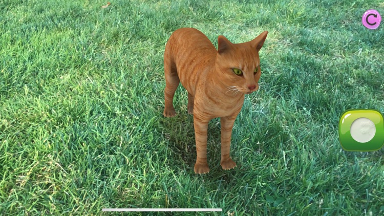 AR Petting Zoo 2 screenshot-4