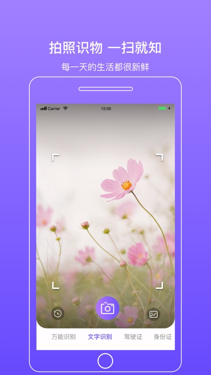 拍拍识图-万能拍照识图取字