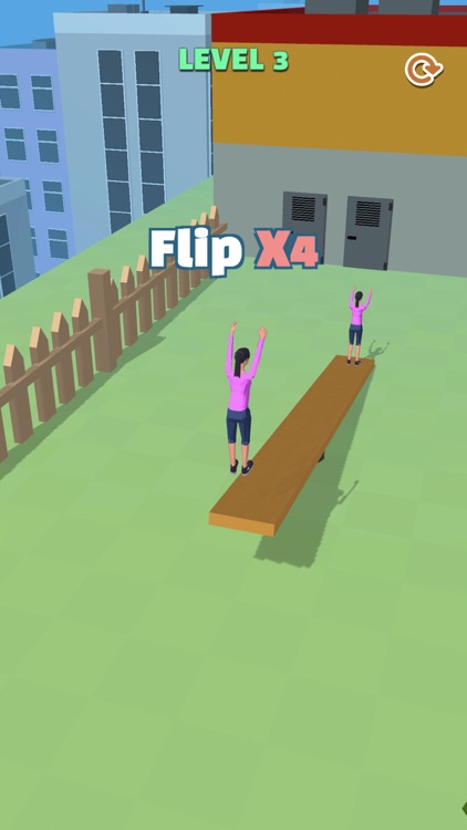 Seesaw Flip