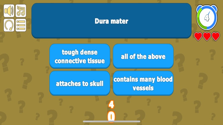 Nervous System & Anatomy Quiz