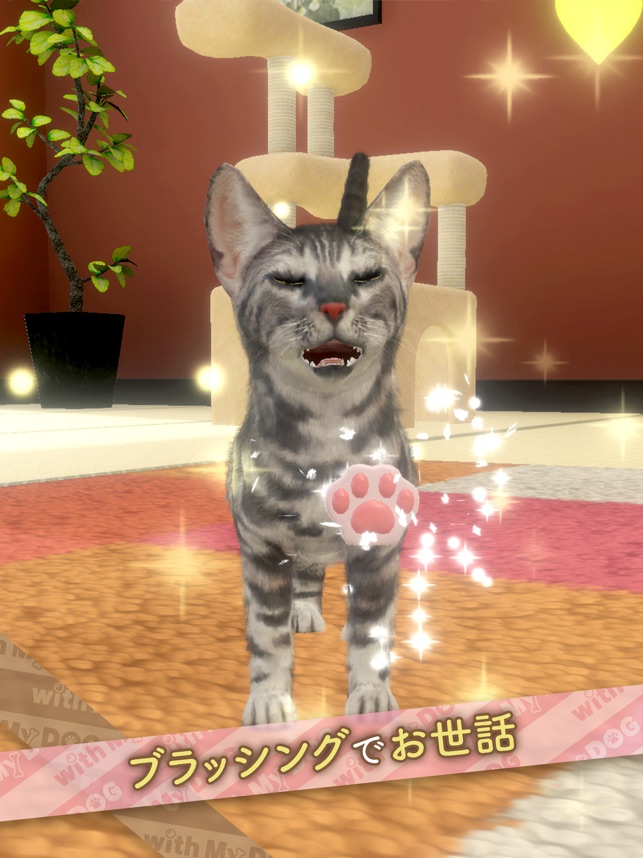 With My Cat 猫とくらそう をapp Storeで With My Cat 猫とくらそう をapp Storeで