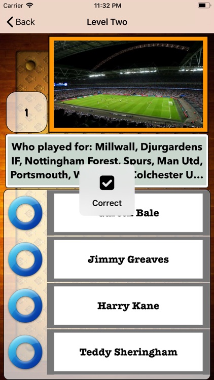 Are You Football Champ? screenshot-4