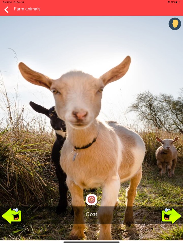 150+ Animal Sounds Lite on the App Store