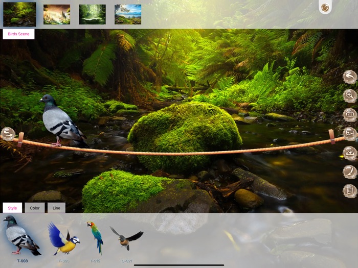 Birds Spirits And Animals