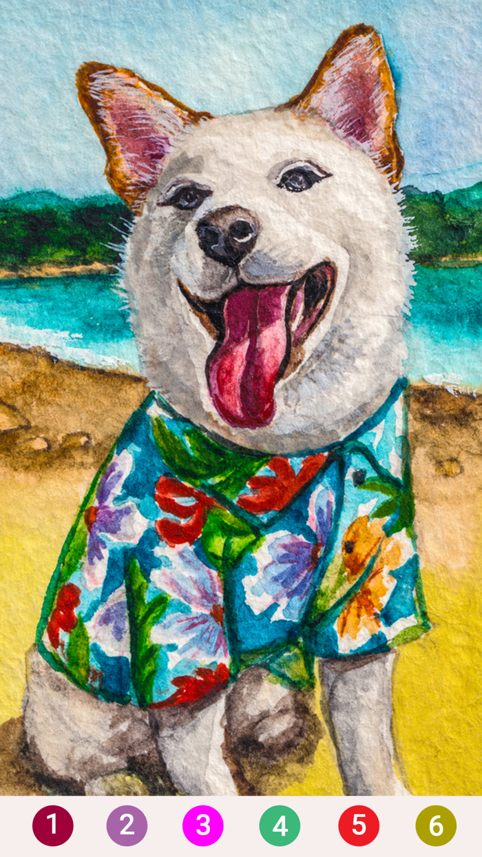 Lucky Color - Color By Number