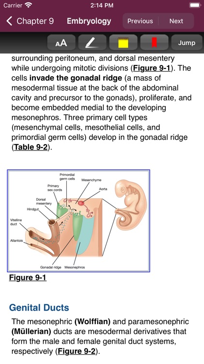 First Aid: Organ Systems screenshot-5