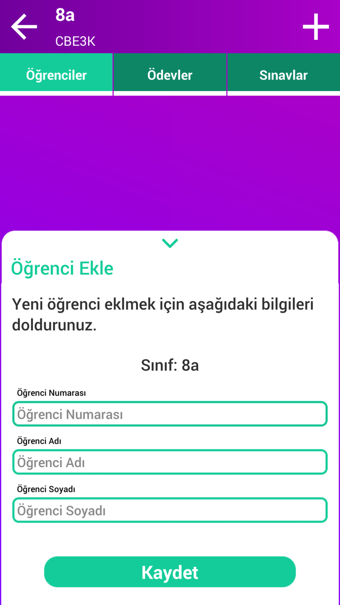 Basamak Öğretmen