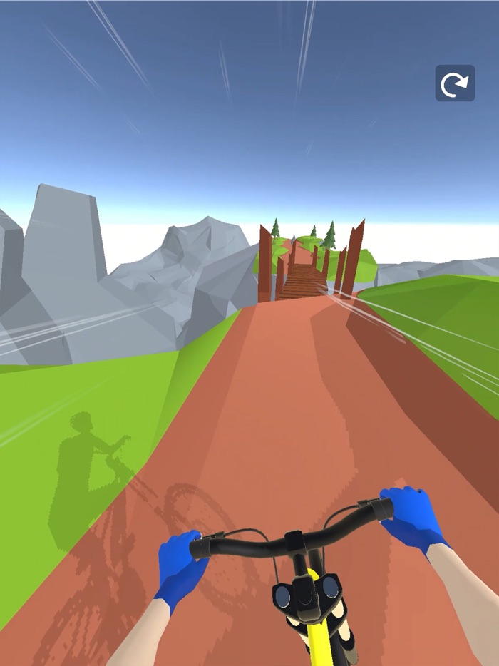 Mountain Biker 3D
