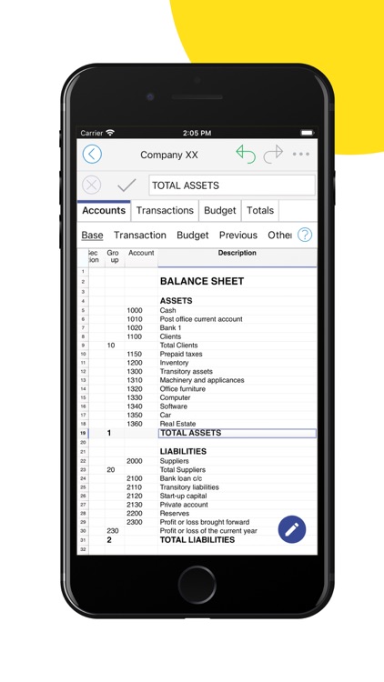 Banana Accounting Mobile