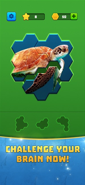 Block Hexa Jigsaw(圖3)-速報App