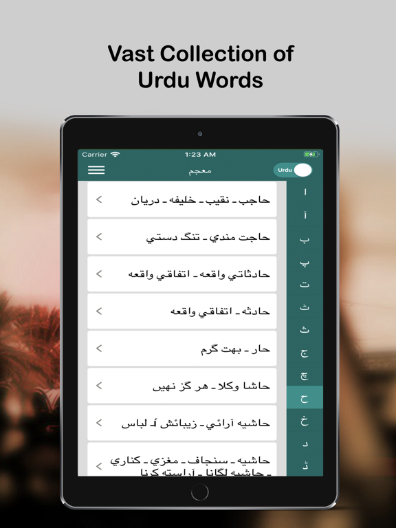 English Urdu Q-Dictionary screenshot 2
