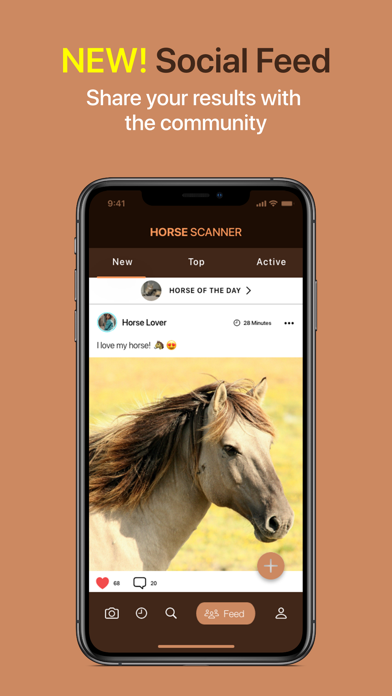 Horse Scanner screenshot 4