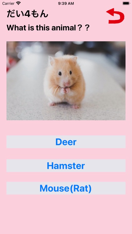 あつまれ！どうぶつだいすき！ screenshot-4