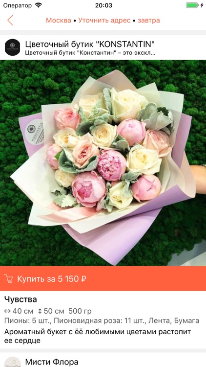 Foxty - Время подарков! screenshot-4