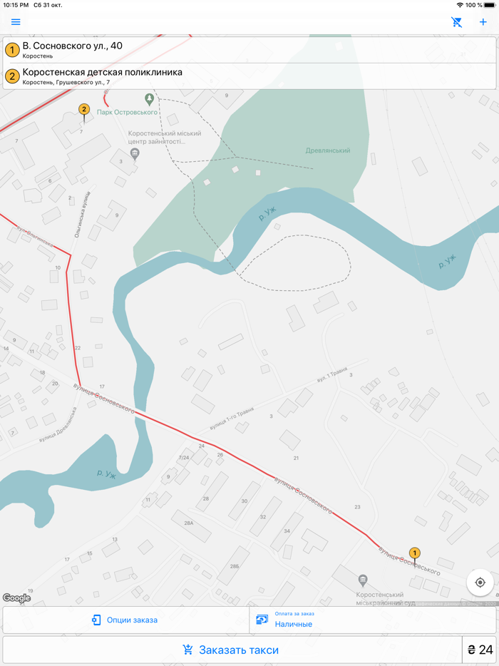 Driver taxi Korosten