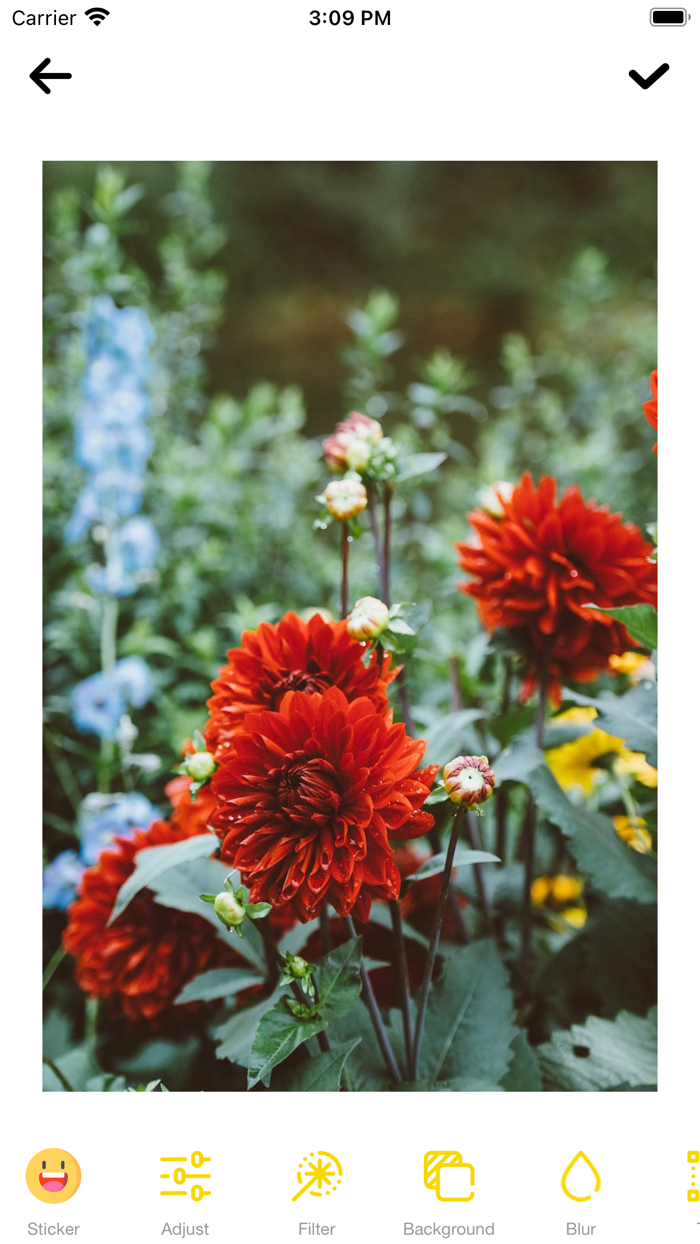 Animated Creator Emoji Maker