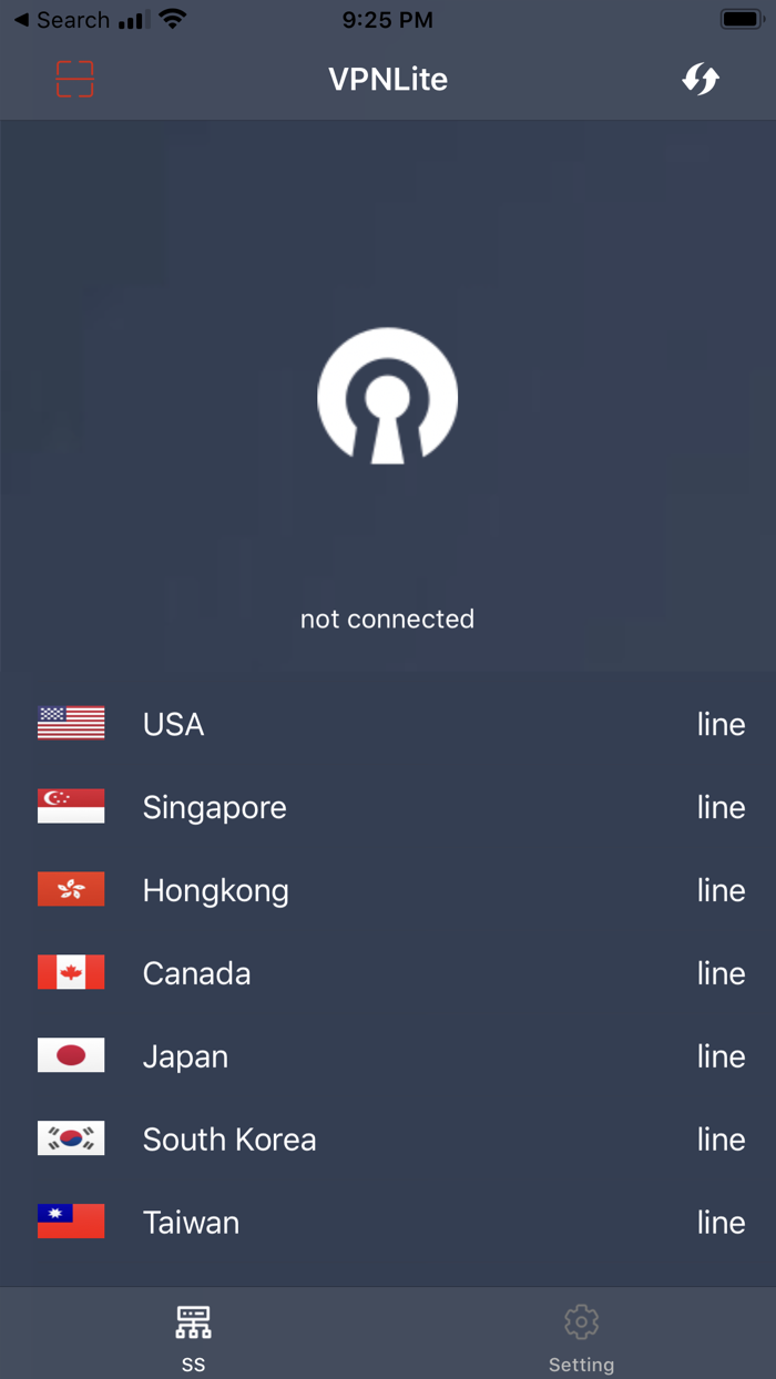 VPN Lite