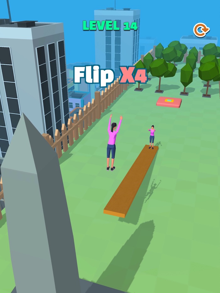 Seesaw Flip
