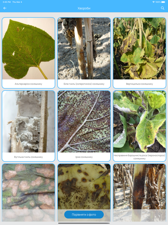 ADAMA Lab – визначник
