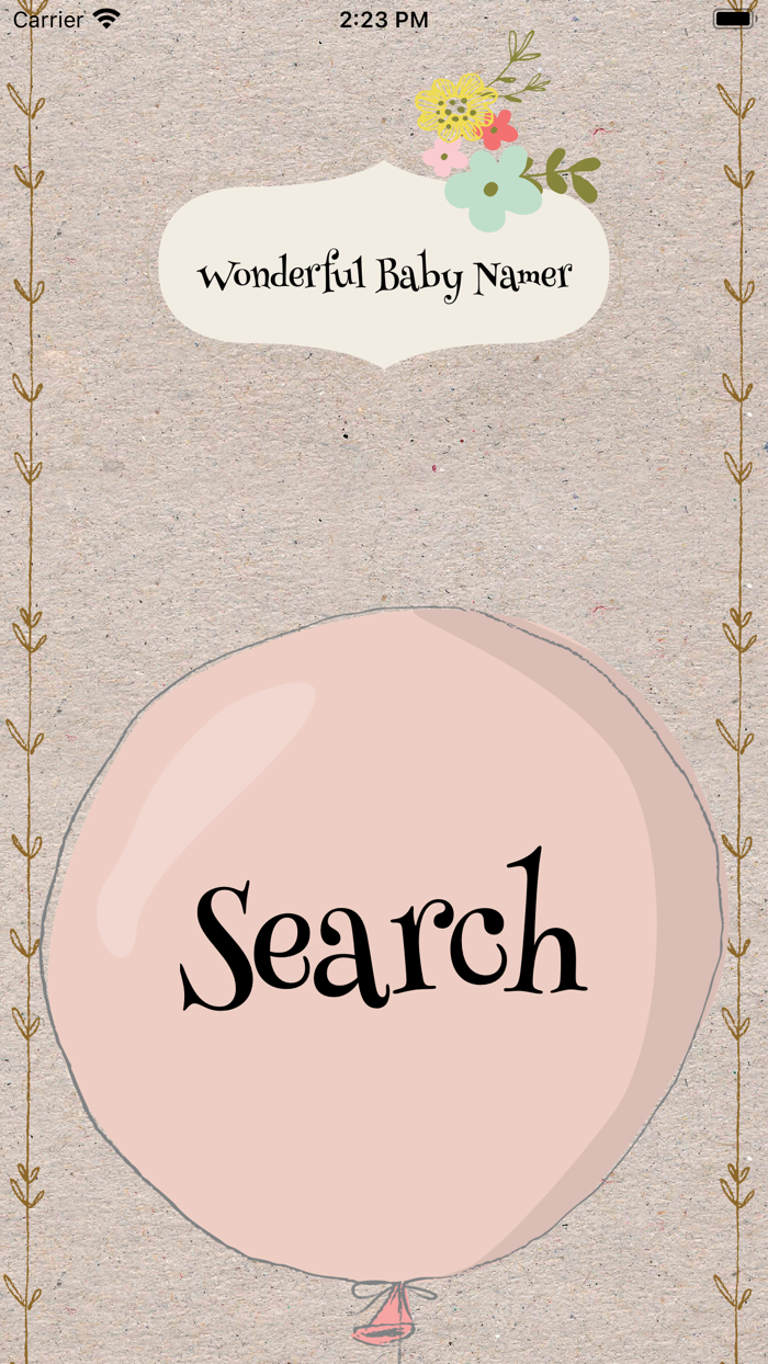 Wonderful Baby Namer