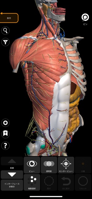 解剖学 3dアトラス をapp Storeで