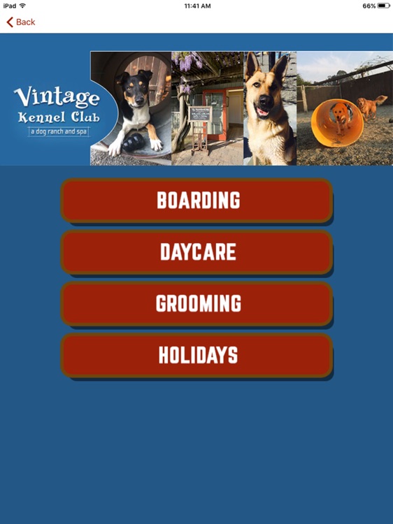 Vintage Kennel Club HD