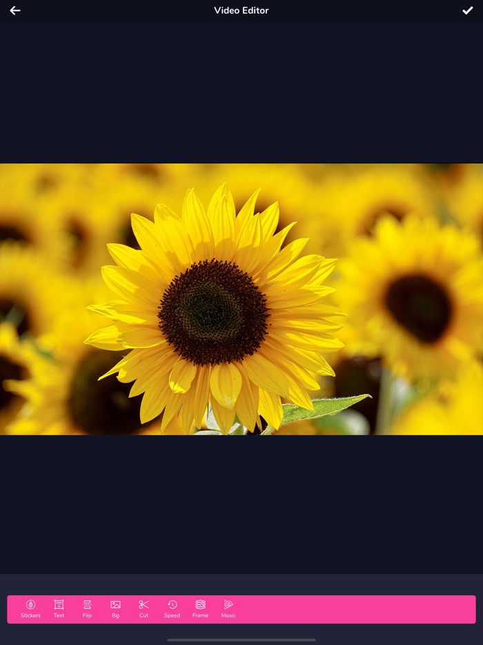 Video Maker  Slideshow