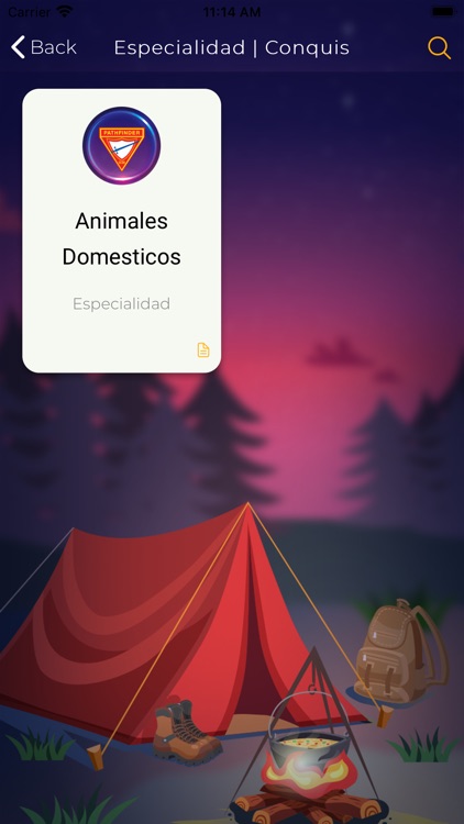 Jovenes Sureste screenshot-7