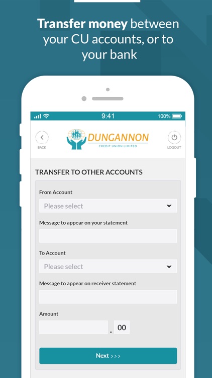 Dungannon Credit Union screenshot-4