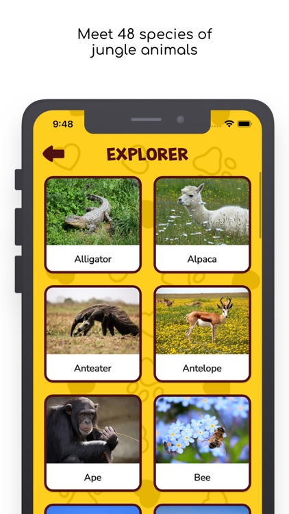 Bingoo Jungle Sounds