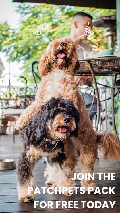 PatchPets - Dog Social Network