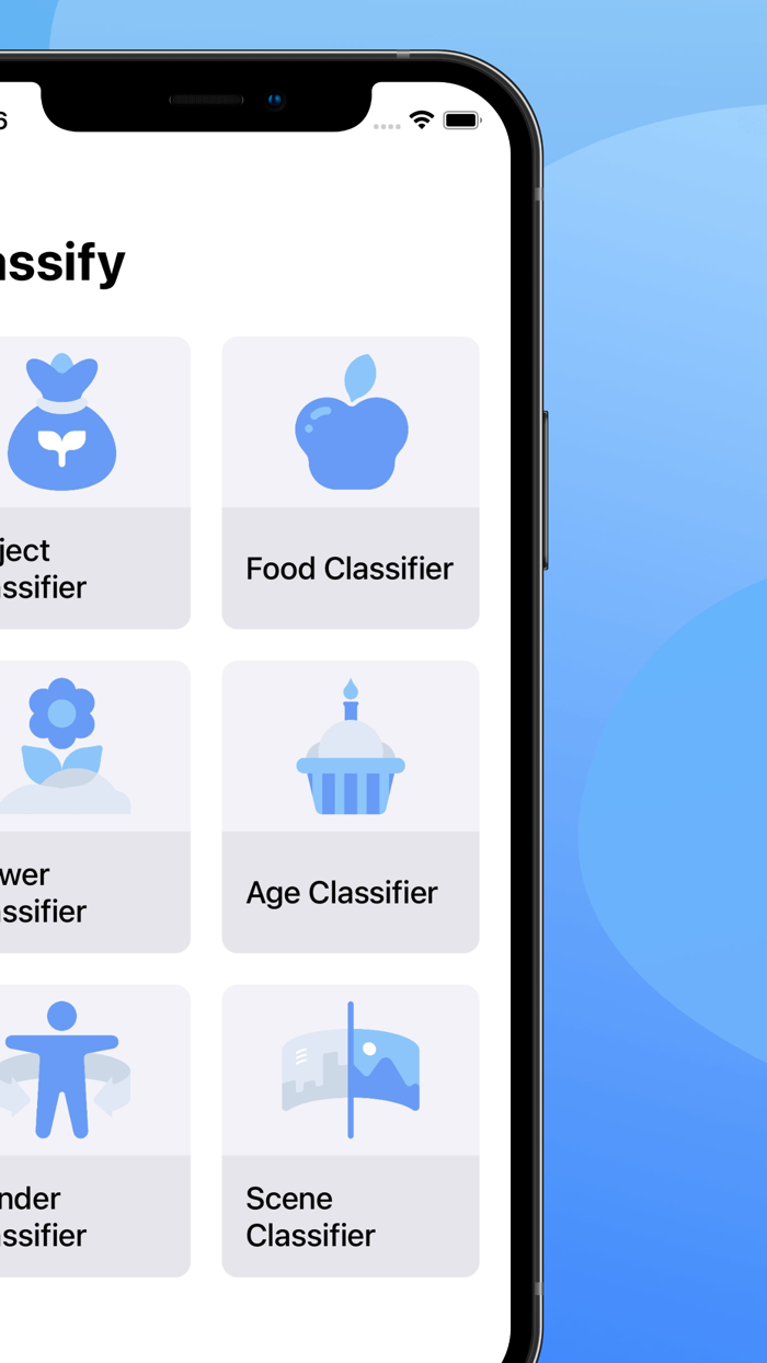 Classify Image Classifier