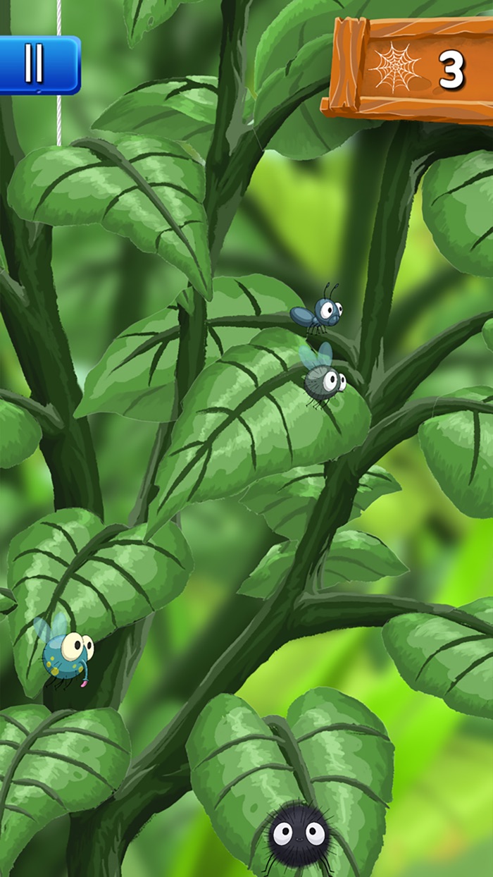 The Little Spider Puzzle