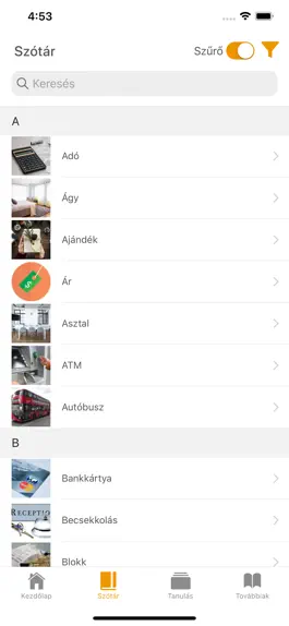Game screenshot SWING Turizmus (Magyar) mod apk
