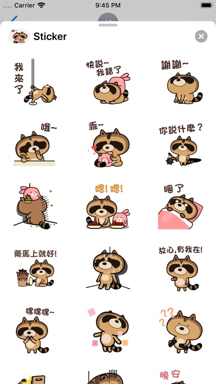 daily life of cute raccoons screenshot-3