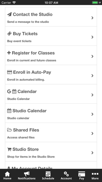 Art in Motion School of Dance screenshot-5