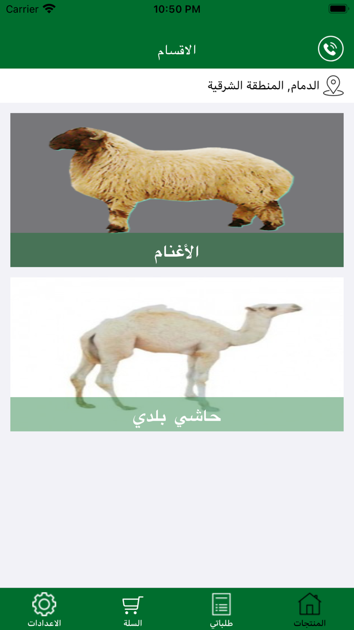 Gulf Cattle - المواشي الخليجية