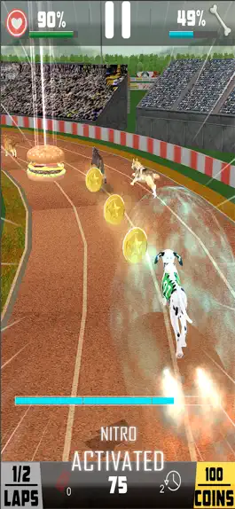 Game screenshot Dog Race Greyhound 3D apk