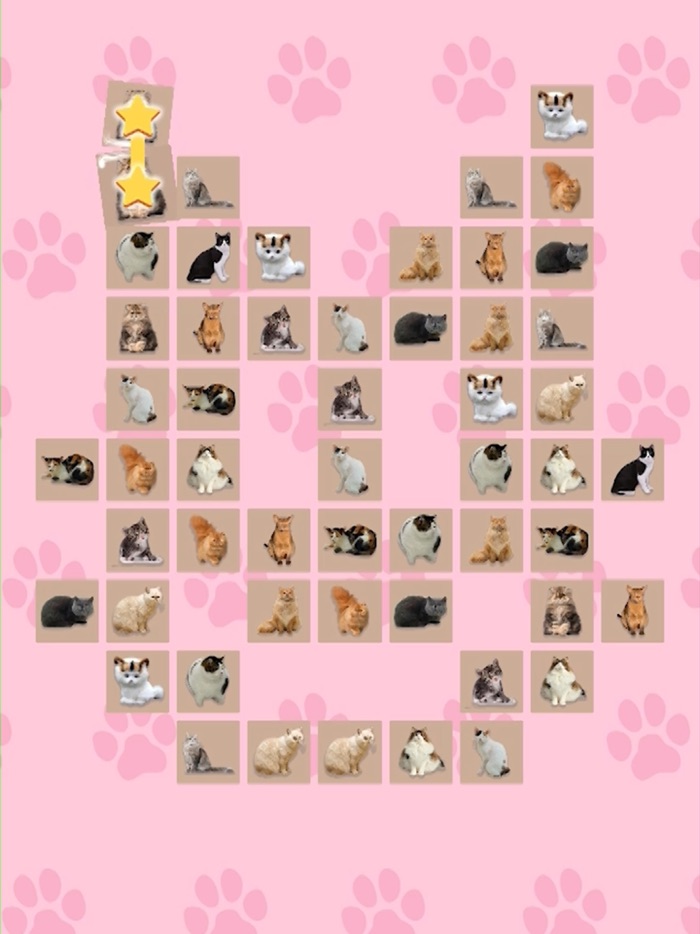 Oneto Connect Puzzle