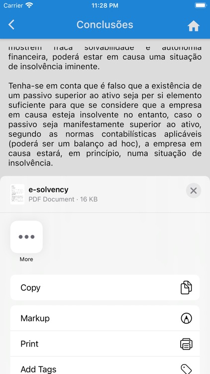 e-solvency screenshot-9