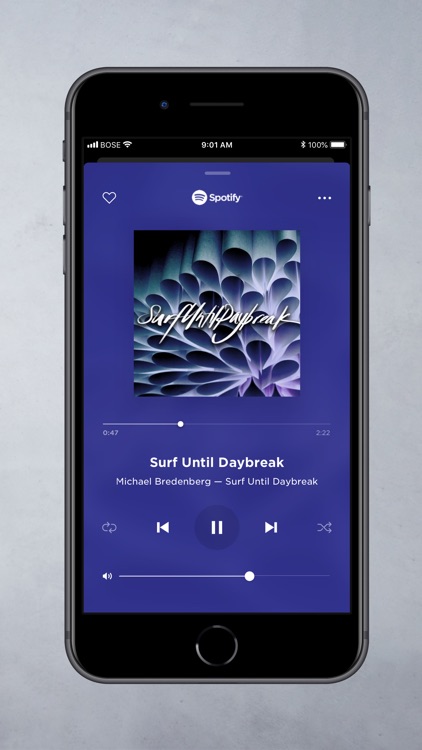 Bose Music screenshot-7