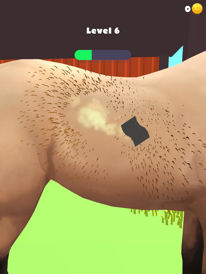 Horse Care 3D