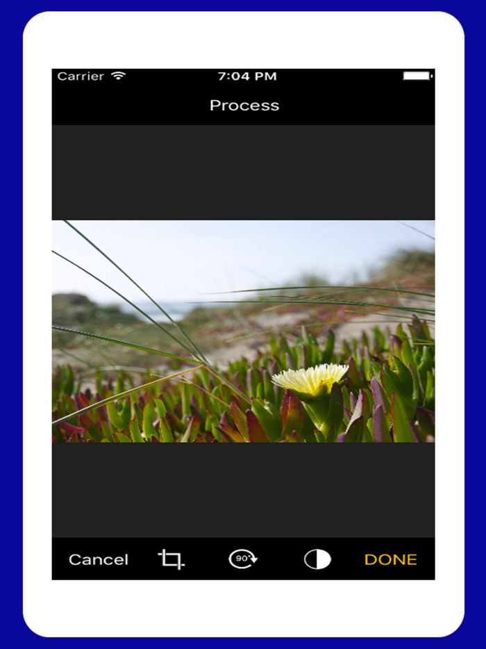 Handy Scanner PDF Scanner OCR