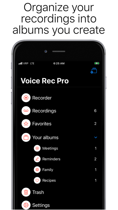 Voice Recorder Professional screenshot 3