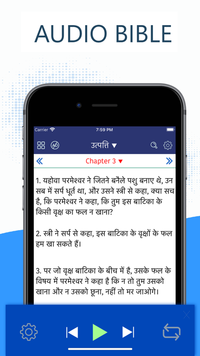 Hindi Bible - हिंदी बाइबिल screenshot 2