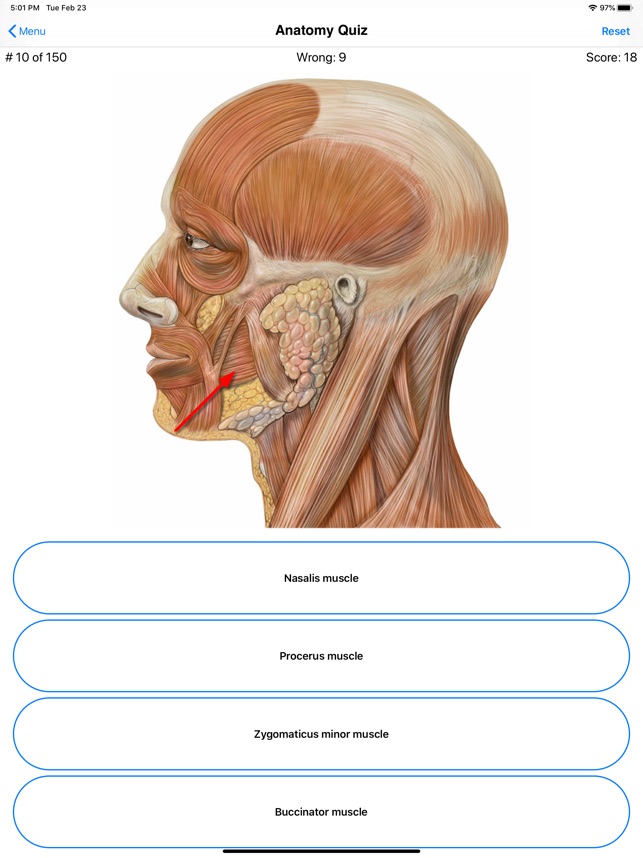 Anatomy Quiz on the App Store