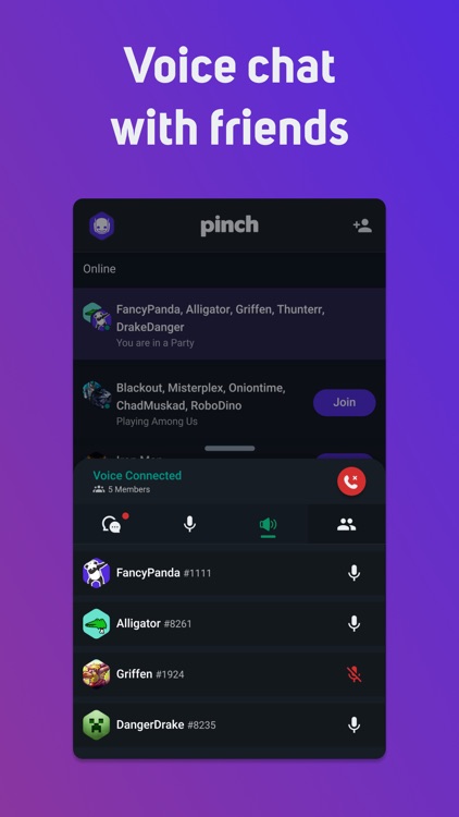 Pinch - Voice Chat for Gamers